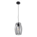 ZEBRA  Vintage Κρεμαστό Φωτιστικό Πλέγμα Μονόφωτο 1 x E27 IP20 Μαύρο Μέταλλο - Μ15 x Π15 x Y24cm