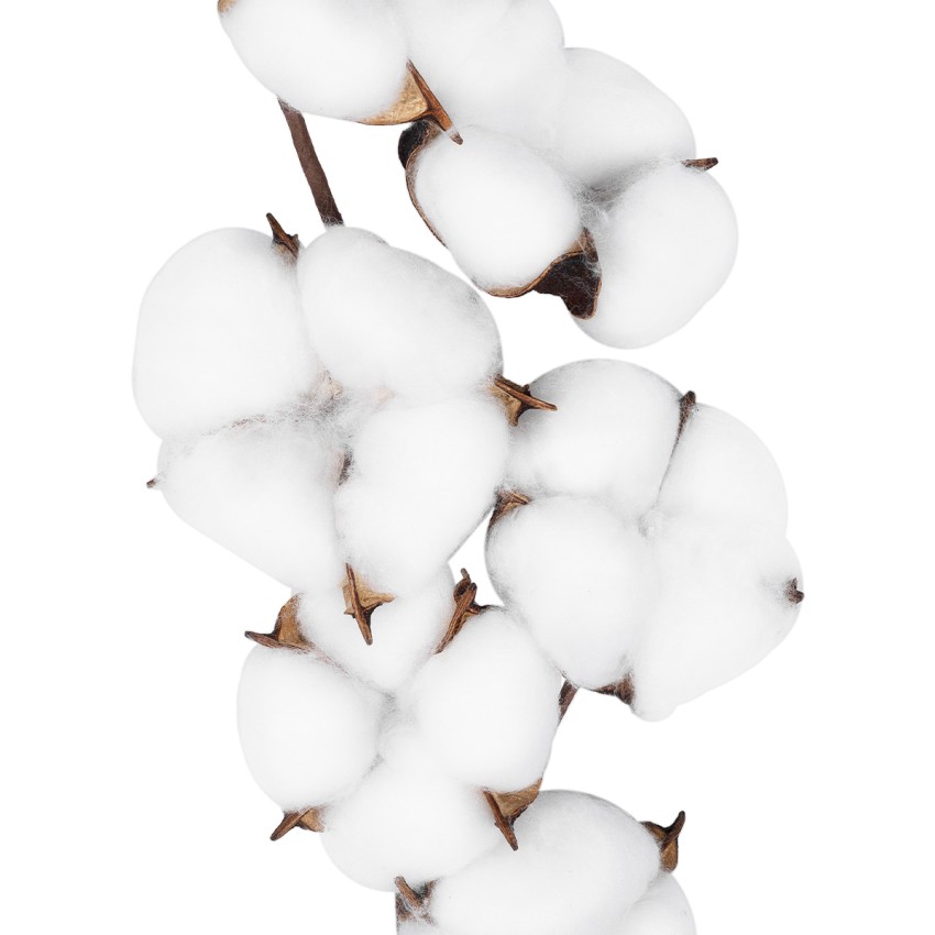 Τεχνητός Κήπος COTTON BRANCH  Τεχνητό Διακοσμητικό Κλαδί βαμβάκι Υ45cm