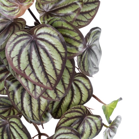 Τεχνητός Κήπος PEPEROMIA HANGING   Τεχνητό Διακοσμητικό Κρεμαστό Φυτό Πεπερόμια Υ45cm