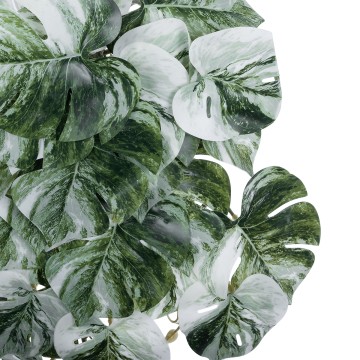 Τεχνητός Κήπος ALBINO MONSTERA HANGING   - Τεχνητό Διακοσμητικό Κρεμαστό Φυτό Μονστέρα Υ45cm