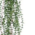 Τεχνητός Κήπος EUCALYPTUS HANGING   Τεχνητό Διακοσμητικό Κρεμαστό Φυτό Ευκάλυπτος Υ130cm