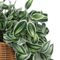 Τεχνητός Κήπος GOLDEN BELL WILLOW HANGING   Τεχνητό Κρεμαστό Διακοσμητικό Φυτό Ιτίας  Y80cm