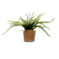 Τεχνητός Κήπος FERN HANGING BOUQUET   Τεχνητό Κρεμαστό Διακοσμητικό Φυτό Φτέρης  Y56cm