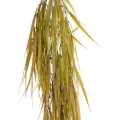 Τεχνητός Κήπος HANGING CORN GRASS  Τεχνητό Διακοσμητικό Κρεμαστό κλαδί Καλαμπόκι Μ23 x Π10 x Υ91cm