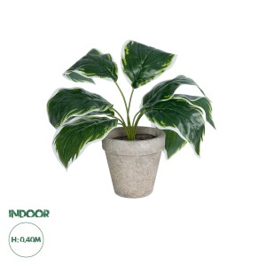 Τεχνητός Κήπος WHITE HOSTA   Διακοσμητικό Φυτό Λευκή  Χόστα Φ45 x Υ40cm