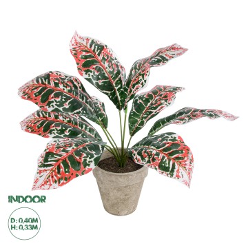 Τεχνητός Κήπος RED AGLAONEMA POTTED   Διακοσμητικό Φυτό Κόκκινο Αγλαόνημα Φ40 x Υ33cm