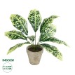 Τεχνητός Κήπος YELLOW AGLAONEMA POTTED   Διακοσμητικό Φυτό Κίτρινο Αγλαόνημα Φ40 x Υ33cm