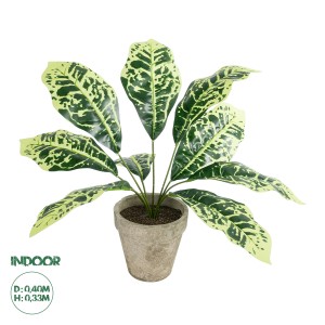 Τεχνητός Κήπος YELLOW AGLAONEMA POTTED   Διακοσμητικό Φυτό Κίτρινο Αγλαόνημα Φ40 x Υ33cm