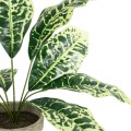Τεχνητός Κήπος YELLOW AGLAONEMA POTTED   Διακοσμητικό Φυτό Κίτρινο Αγλαόνημα Φ40 x Υ33cm