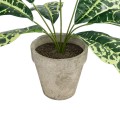 Τεχνητός Κήπος YELLOW AGLAONEMA POTTED   Διακοσμητικό Φυτό Κίτρινο Αγλαόνημα Φ40 x Υ33cm