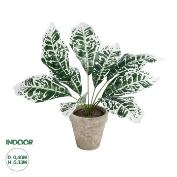 Τεχνητός Κήπος WHITE AGLAONEMA POTTED   Διακοσμητικό Φυτό Λευκό Αγλαόνημα Φ40 x Υ33cm
