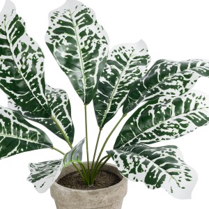 Τεχνητός Κήπος WHITE AGLAONEMA POTTED   Διακοσμητικό Φυτό Λευκό Αγλαόνημα Φ40 x Υ33cm