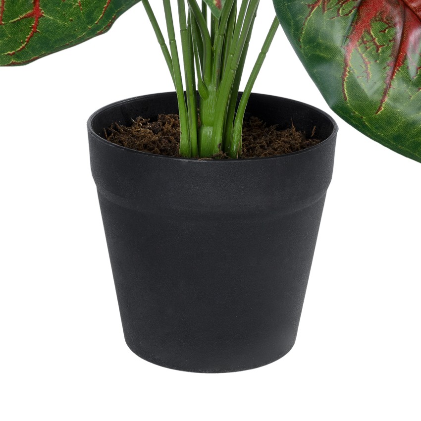 Τεχνητός Κήπος CALADIUM MIX  Διακοσμητικό Φυτό Καλάντιουμ Υ75cm