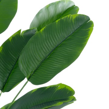 Τεχνητός Κήπος YOUNG BANANA   - Διακοσμητικό Φυτό Νεαρή Μπανανιά Φ82 x Υ80cm