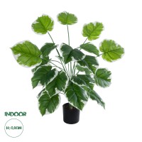 Τεχνητός Κήπος WHITE HOSTA   Διακοσμητικό Φυτό Λευκή Χόστα Φ87 x Υ80cm