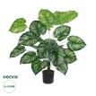 Τεχνητός Κήπος CALATHEA   Διακοσμητικό Φυτό Καλαθέα Φ70 x Υ80cm