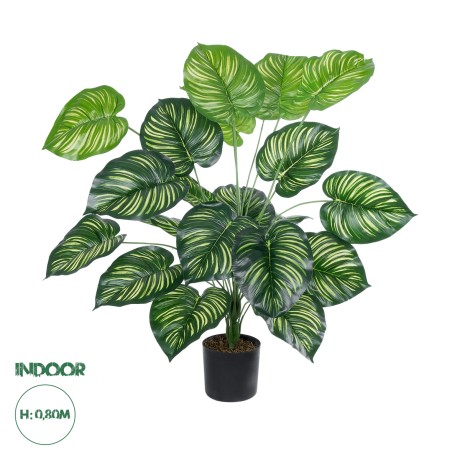 Τεχνητός Κήπος CALATHEA   Διακοσμητικό Φυτό Καλαθέα Φ70 x Υ80cm