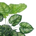 Τεχνητός Κήπος CALATHEA   Διακοσμητικό Φυτό Καλαθέα Φ70 x Υ80cm