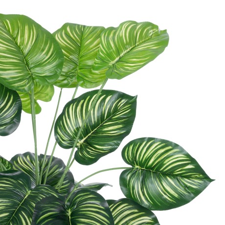 Τεχνητός Κήπος CALATHEA   Διακοσμητικό Φυτό Καλαθέα Φ70 x Υ80cm