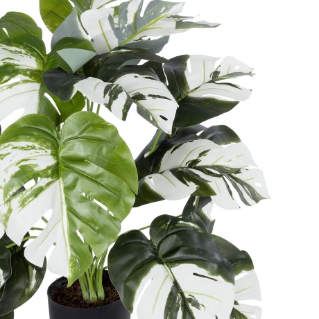 Τεχνητός Κήπος ALBINO MONSTERA   - Διακοσμητικό Φυτό Λευκή Μονστέρα Φ70 x Υ75cm