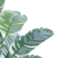 Τεχνητός Κήπος BANANA  ZEBRA  - Διακοσμητικό Φυτό Μπανανιά Ζέβρα Φ70 x Υ55cm
