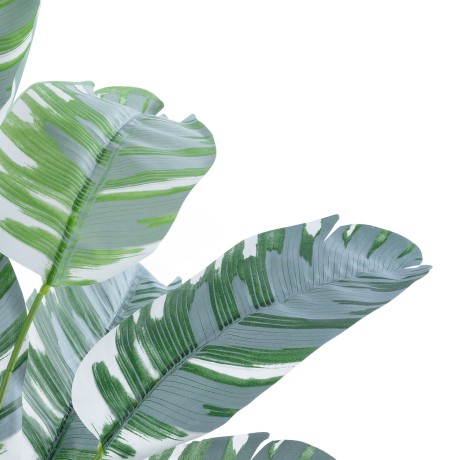 Τεχνητός Κήπος BANANA  ZEBRA  - Διακοσμητικό Φυτό Μπανανιά Ζέβρα Φ70 x Υ55cm