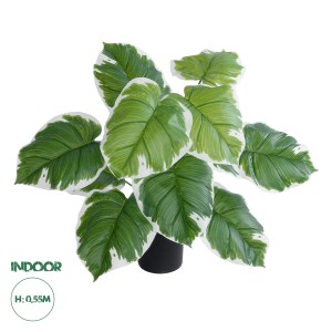 Τεχνητός Κήπος WHITE HOSTA   Διακοσμητικό Φυτό Λευκή  Χόστα Φ60 x Υ55cm