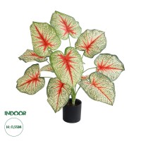 Τεχνητός Κήπος CALADIUM   Διακοσμητικό Φυτό Καλάντιουμ Φ58 x Υ55cm