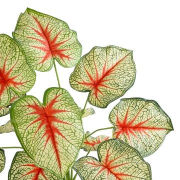 Τεχνητός Κήπος CALADIUM   Διακοσμητικό Φυτό Καλάντιουμ Φ58 x Υ55cm