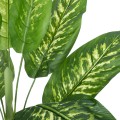 Τεχνητός Κήπος CALATHEA   Διακοσμητικό Φυτό Καλαθέα Φ80 x Υ90cm