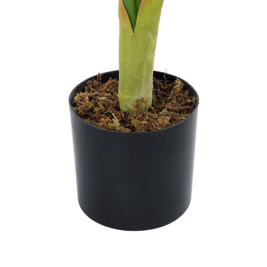 Τεχνητός Κήπος CALATHEA   Διακοσμητικό Φυτό Καλαθέα Φ80 x Υ90cm