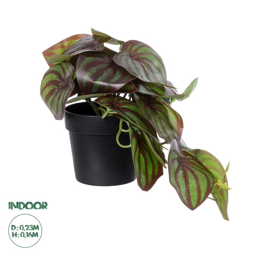 Τεχνητός Κήπος BROWN PEPEROMIA   Διακοσμητικό Φυτό Καφέ Πεπερόμια Φ23 x Υ16cm