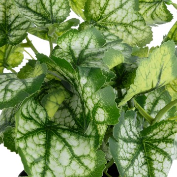 Τεχνητός Κήπος BEGONIA   Διακοσμητικό Φυτό Βιγόνια Φ47 x Υ22cm