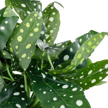 Τεχνητός Κήπος BEGONIA POLKA DOT   Διακοσμητικό Φυτό Βιγόνια Φ50 x Υ22cm