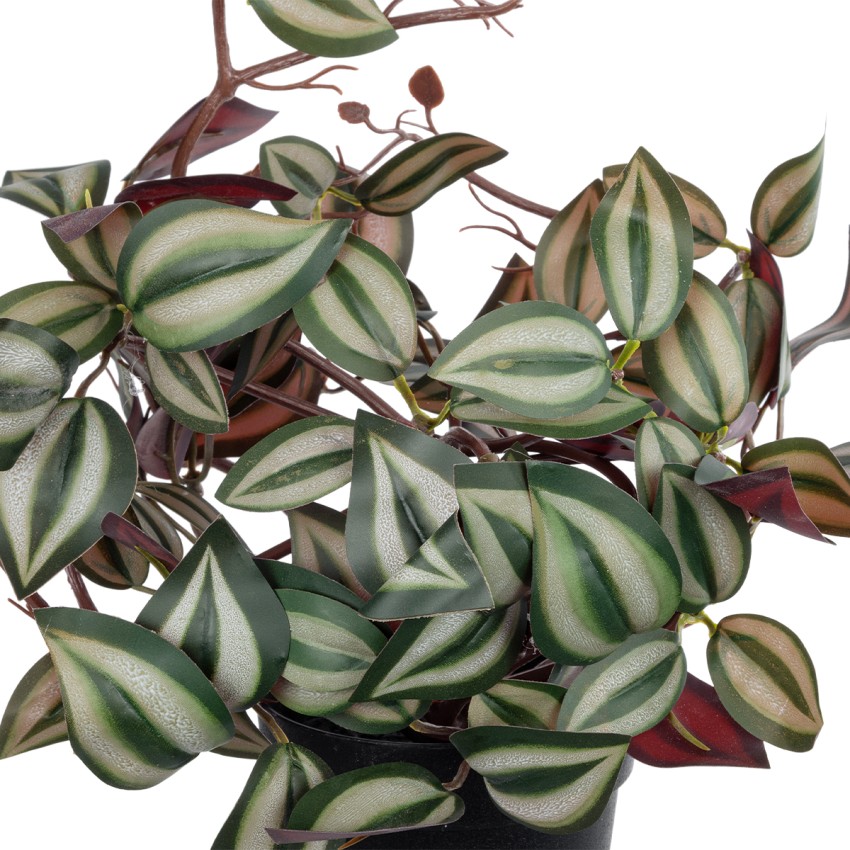 Τεχνητός Κήπος ZEBRINA   Διακοσμητικό Φυτό Ζεμπρίνα Φ45 x Υ22cm