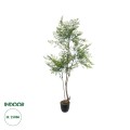 Τεχνητός Κήπος GREEN NANDINA   Διακοσμητικό Φυτό Πράσινη Ναντίνα Φ66 x Υ150cm