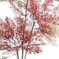 Τεχνητός Κήπος RED NANDINA   Διακοσμητικό Φυτό Κόκκινη Ναντίνα Φ66 x Υ150cm
