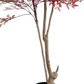 Τεχνητός Κήπος RED NANDINA   Διακοσμητικό Φυτό Κόκκινη Ναντίνα Φ66 x Υ150cm