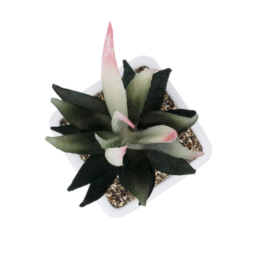 Τεχνητός Κήπος SUCCULENT ALOE POTTED   Διακοσμητικό Φυτό Αλόης Φ7 x Υ14cm