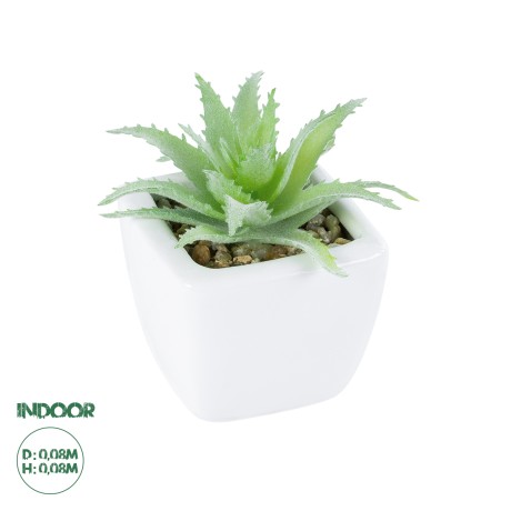 Τεχνητός Κήπος SUCCULENT ALOE LOTUS   Διακοσμητικό Φυτό Παχύφυτο Λωτός Αλόης Φ8 x Υ8cm