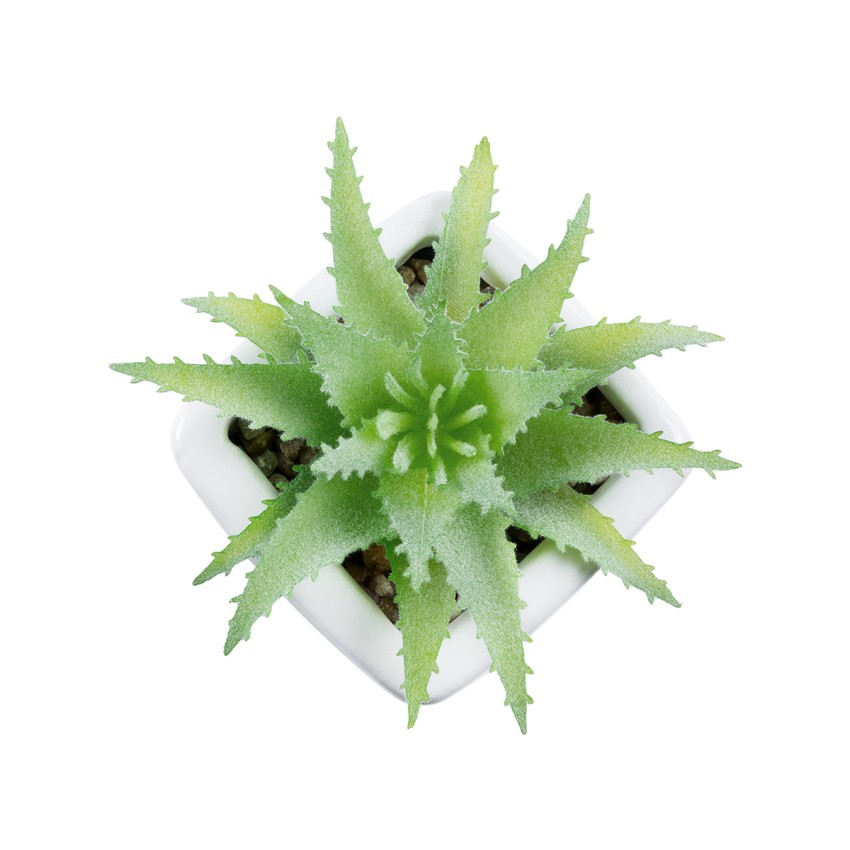 Τεχνητός Κήπος SUCCULENT ALOE LOTUS   Διακοσμητικό Φυτό Παχύφυτο Λωτός Αλόης Φ8 x Υ8cm