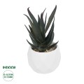 Τεχνητός Κήπος SUCCULENT ALOE POTTED   Διακοσμητικό Φυτό Αλόης Φ7 x Υ14cm
