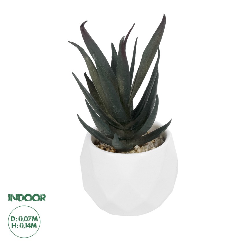 Τεχνητός Κήπος SUCCULENT ALOE POTTED   Διακοσμητικό Φυτό Αλόης Φ7 x Υ14cm