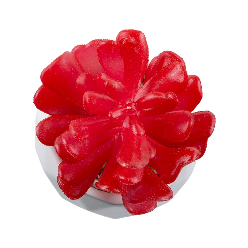 Τεχνητός Κήπος SUCCULENT CRASSULA  Διακοσμητικό Φυτό Παχύφυτο Κράσουλα Υ10cm