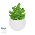 Τεχνητός Κήπος SUCCULENT CRASSULA POTTED   Διακοσμητικό Φυτό Κρασούλα Φ6 x Υ10cm