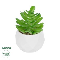 Τεχνητός Κήπος SUCCULENT CRASSULA POTTED   Διακοσμητικό Φυτό Κρασούλα Φ6 x Υ10cm