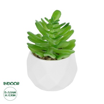 Τεχνητός Κήπος SUCCULENT CRASSULA POTTED   Διακοσμητικό Φυτό Κρασούλα Φ6 x Υ10cm