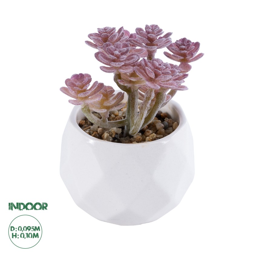 Τεχνητός Κήπος SUCCULENT SEDUM  Διακοσμητικό Φυτό Παχύφυτο Σέδο Υ10cm