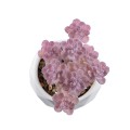 Τεχνητός Κήπος SUCCULENT SEDUM  Διακοσμητικό Φυτό Παχύφυτο Σέδο Υ10cm