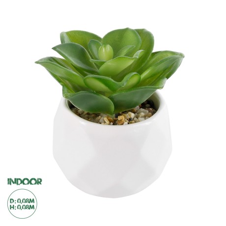 Τεχνητός Κήπος SUCCULENT ECHEVERIA  Διακοσμητικό Φυτό Παχύφυτο Εχεβέρια Υ8cm